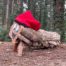 tio de nadal ulls blaus