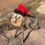 Buy-Christmas-Tio-blue-eyes-online